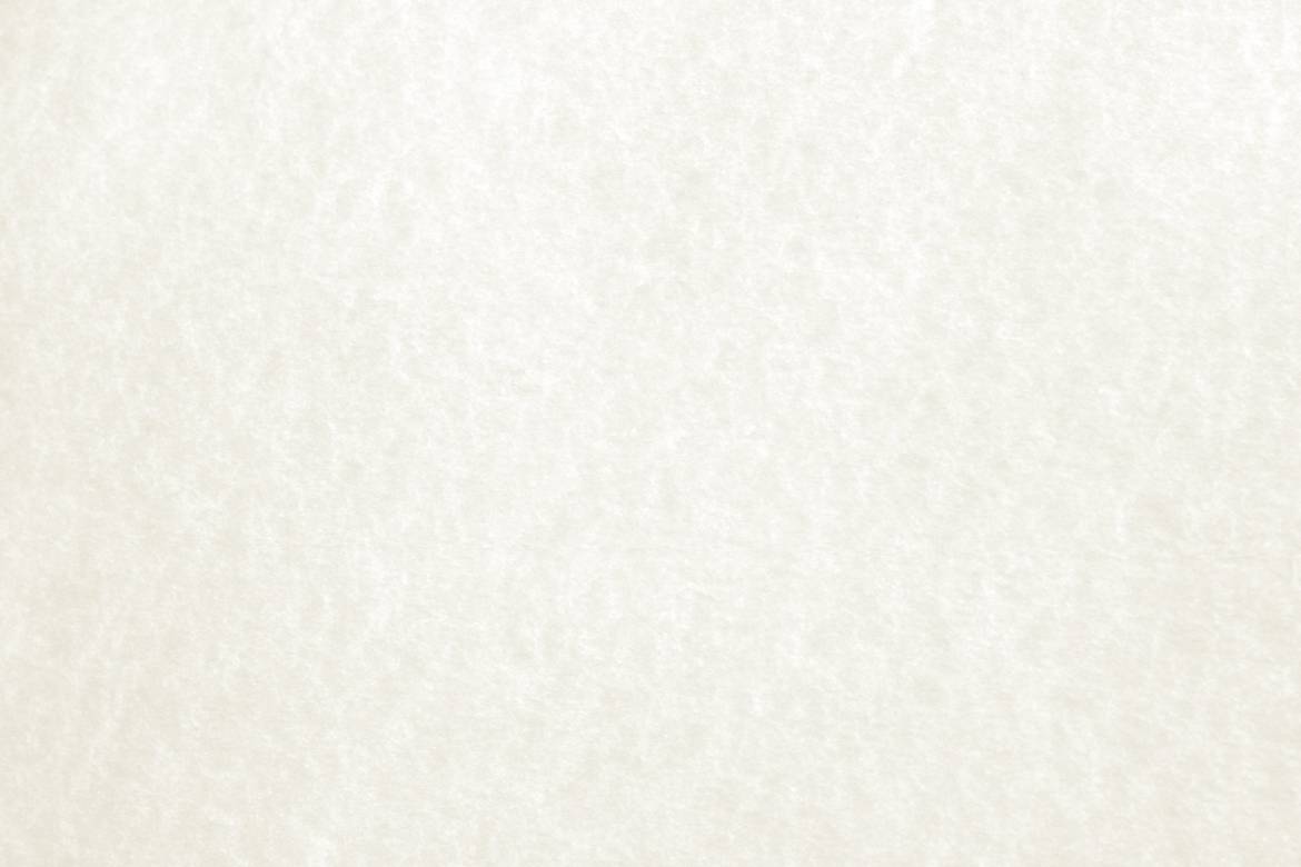 https://intimateweddingsoftampa.com/wp-content/uploads/2016/08/white-parchment-paper-texture-1170x780.jpg