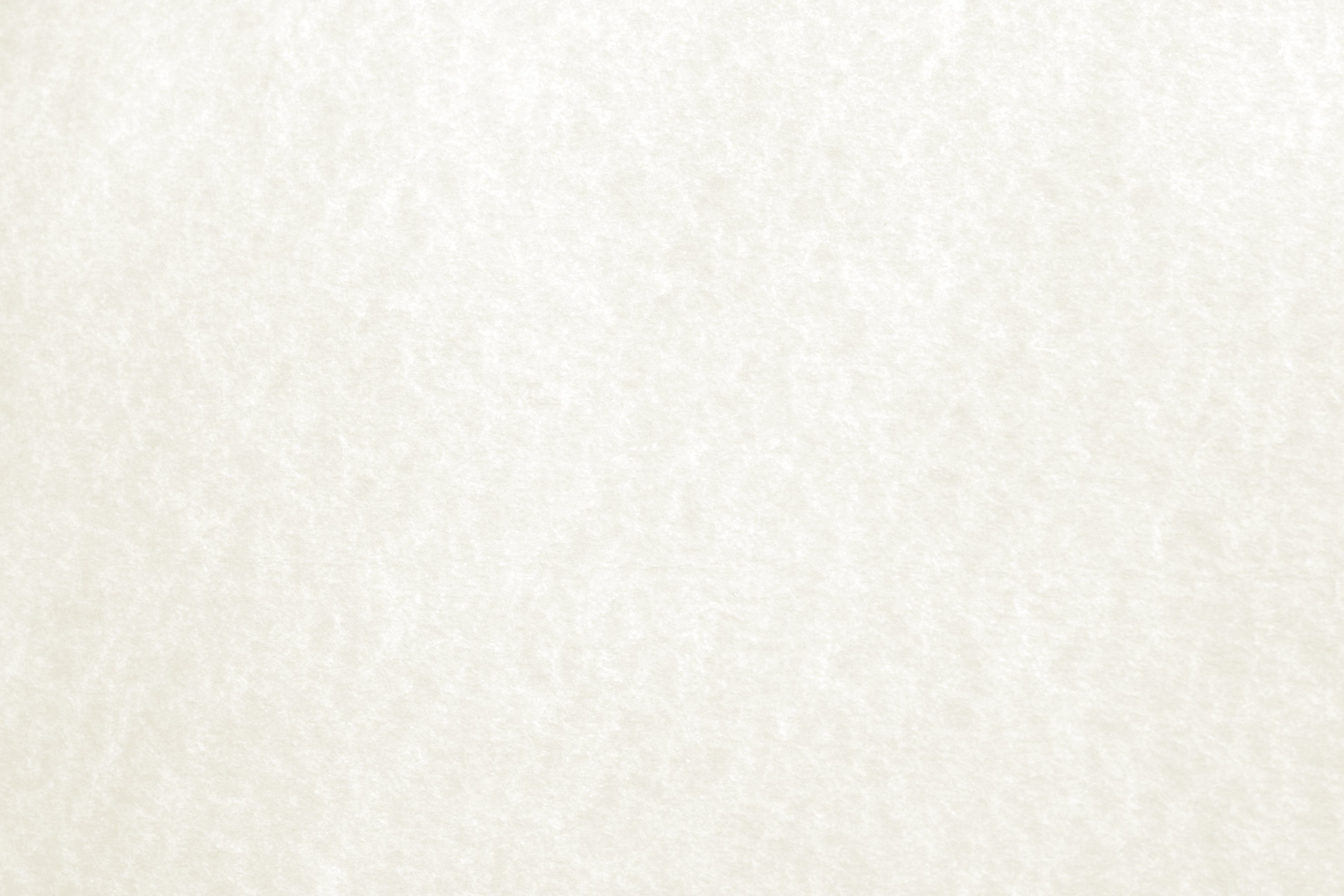 White Parchment Background - Intimate Weddings of Tampa
